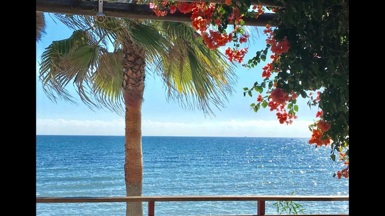 Mi Capricho 2D Beachfront- Apartment With Sea View - Costa Del Sol Sitio de Calahonda Bagian luar foto